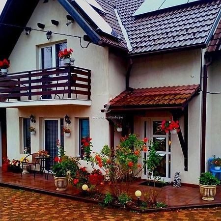 Appartamento Edelweiss Ilinca Zărneşti Esterno foto