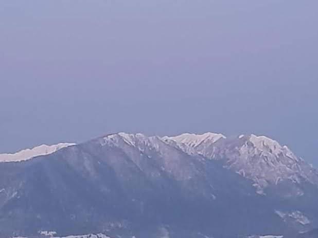 Appartamento Edelweiss Ilinca Zărneşti Esterno foto