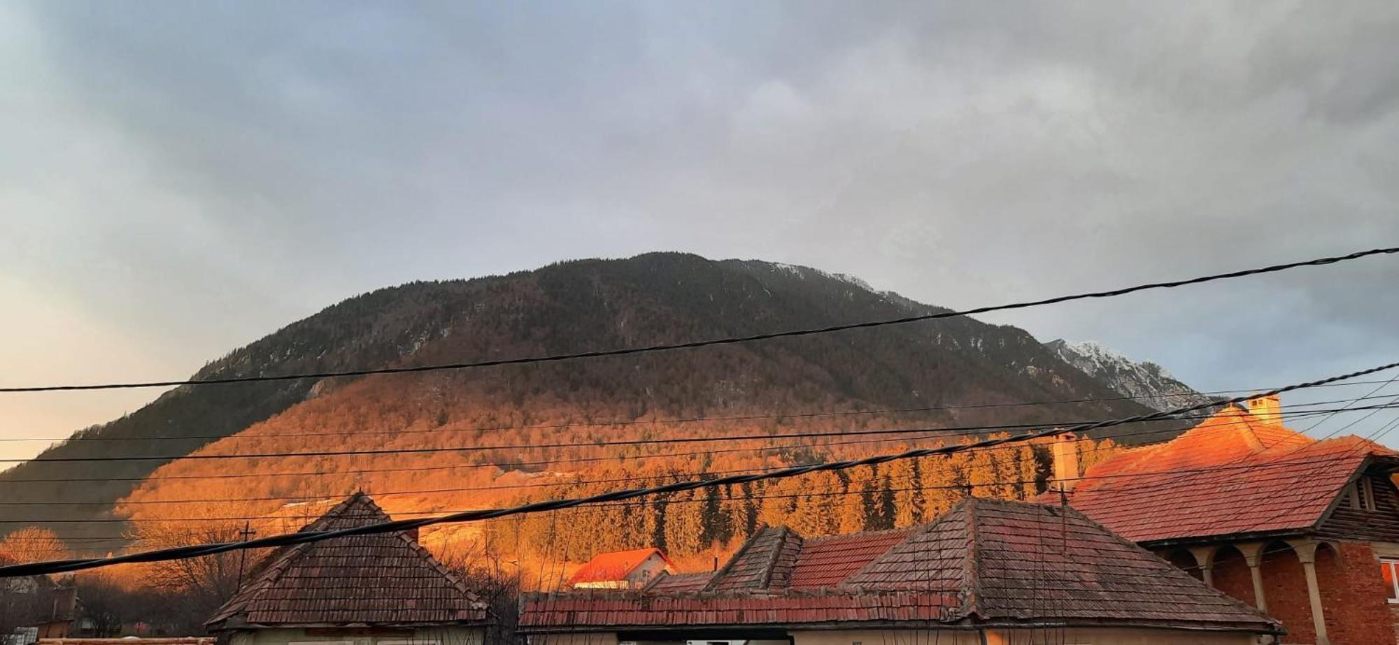Appartamento Edelweiss Ilinca Zărneşti Esterno foto