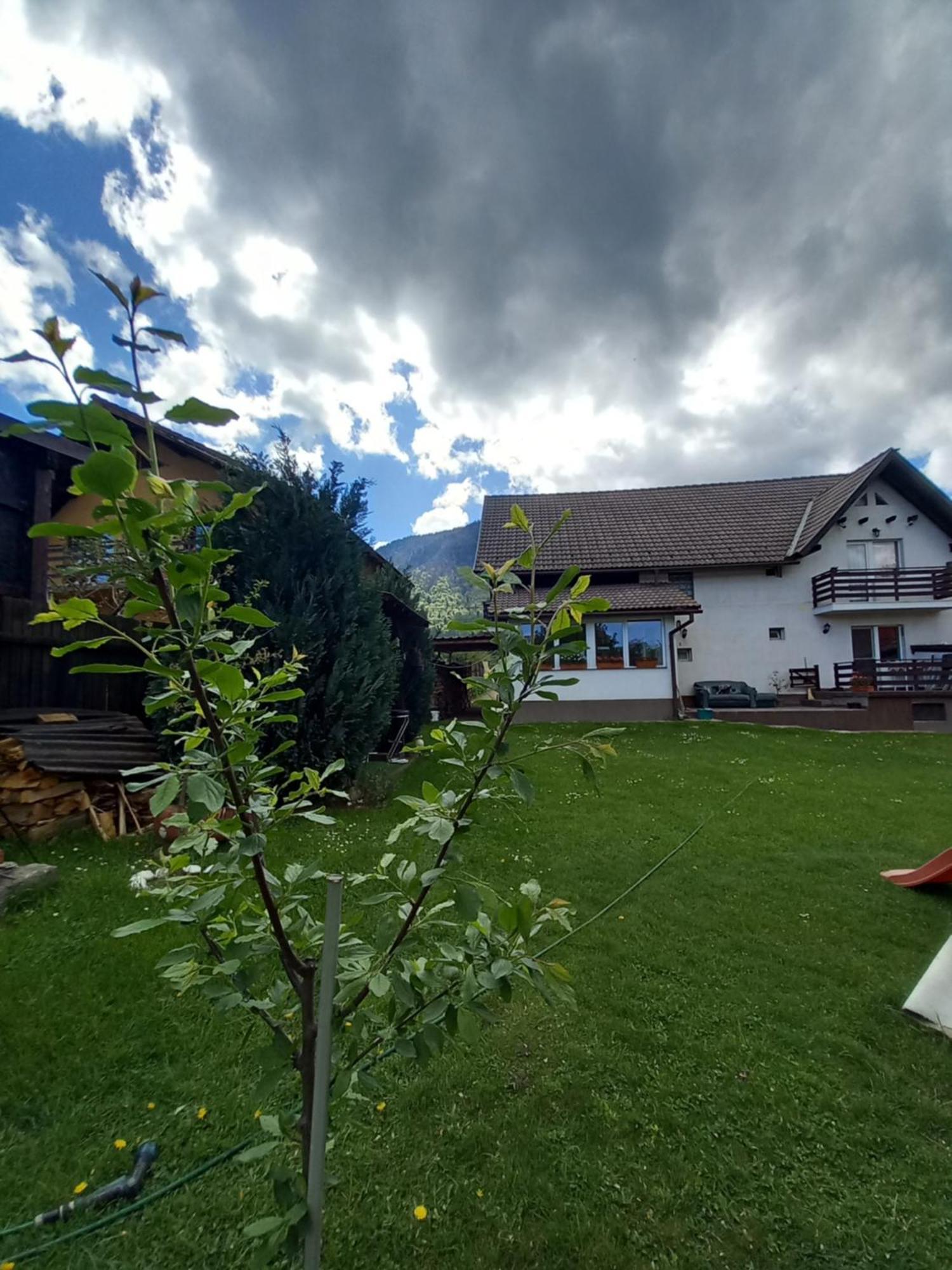 Appartamento Edelweiss Ilinca Zărneşti Esterno foto