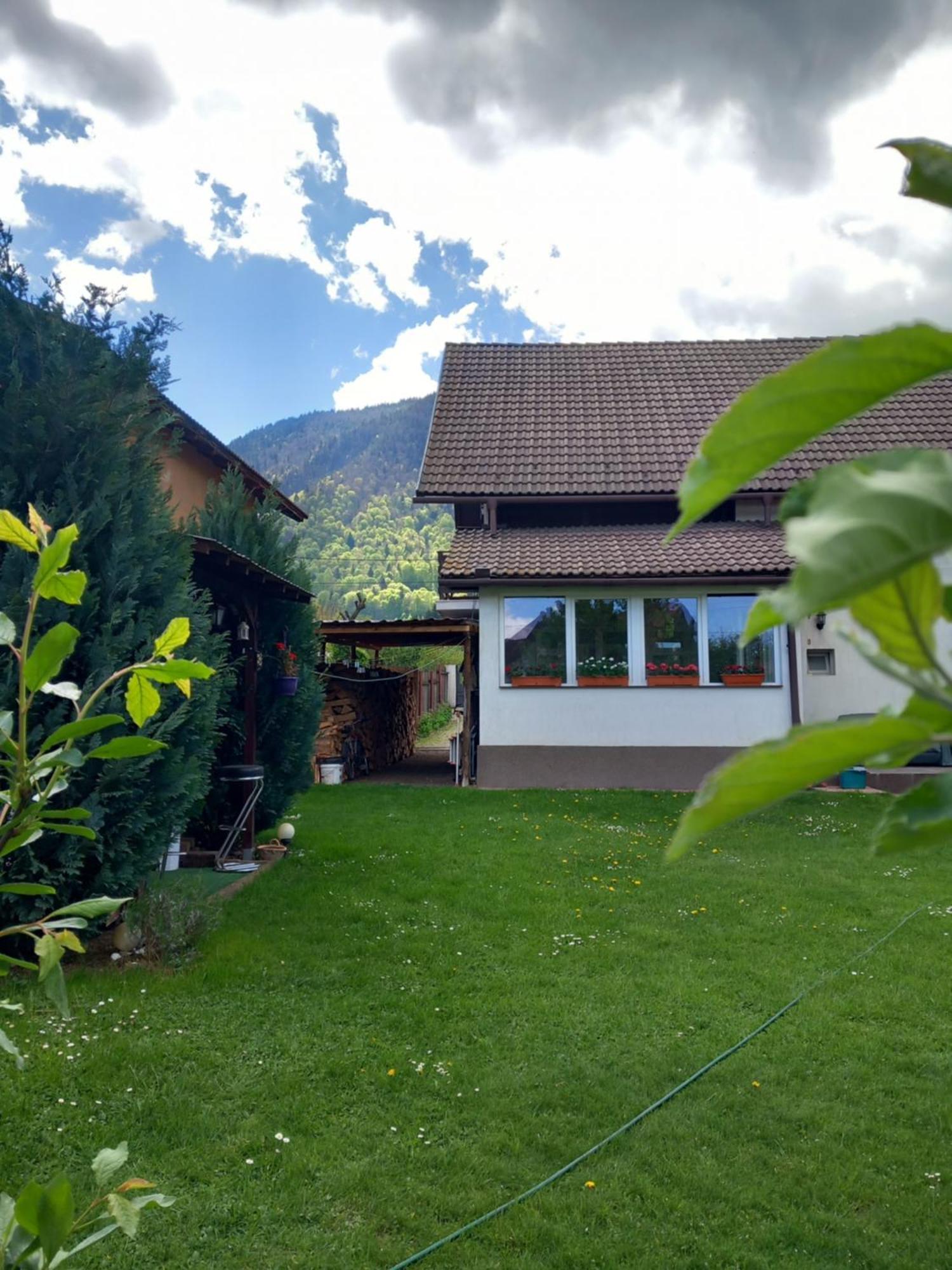 Appartamento Edelweiss Ilinca Zărneşti Esterno foto
