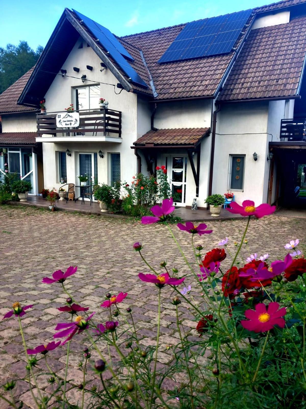 Appartamento Edelweiss Ilinca Zărneşti Esterno foto